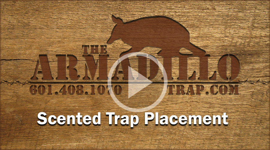 The Armadillo Trap