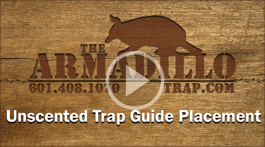 The Armadillo Trap
